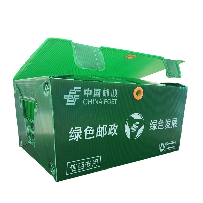 Recyclable Custom Multiwall Fluted Plastic/PP Packing Box for OEM