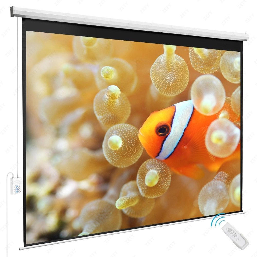 Large Size Electric Projector Screen/Big Motorized Projection Screen (LES300V)