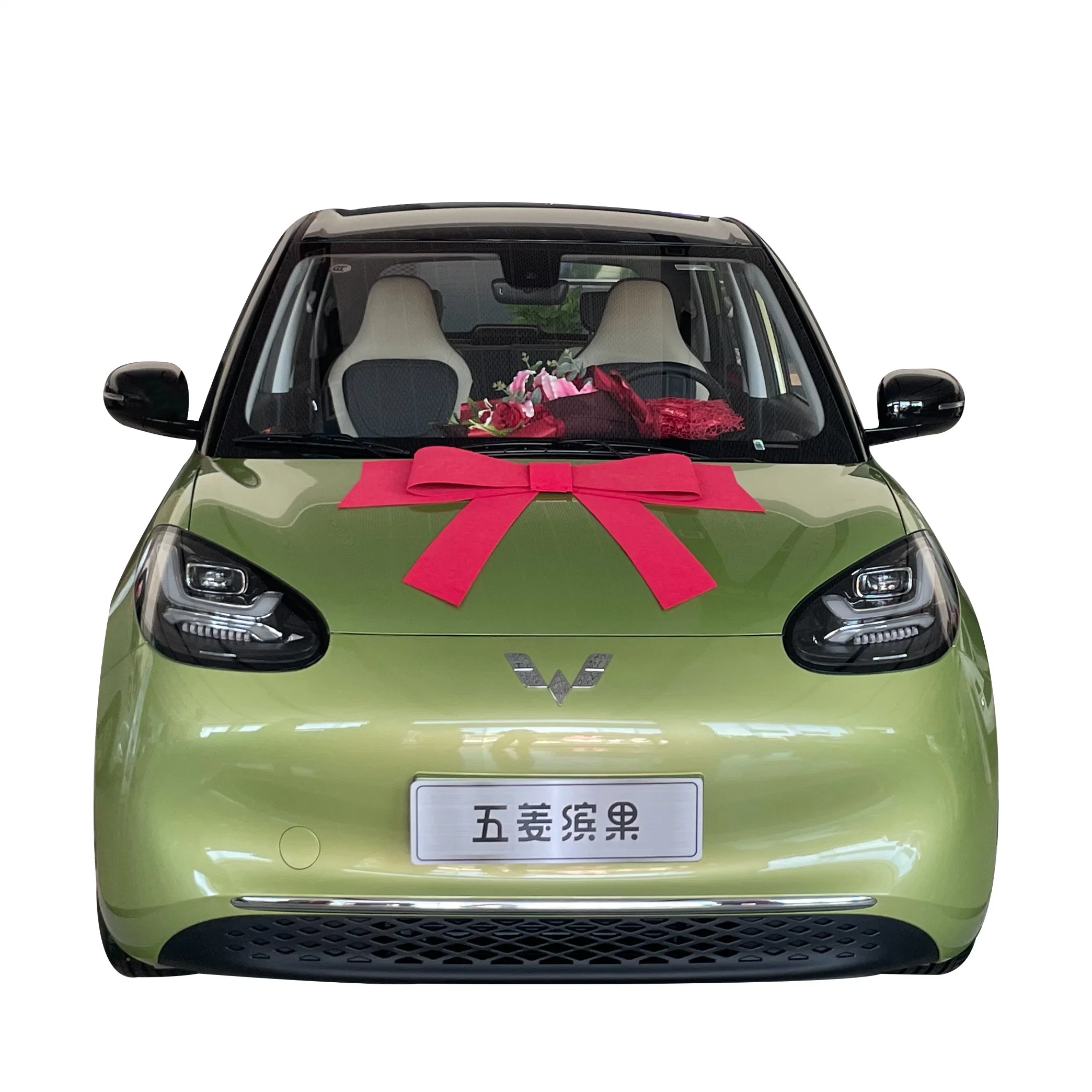 2023 New Design Wuling Bingo EV Car for Sell