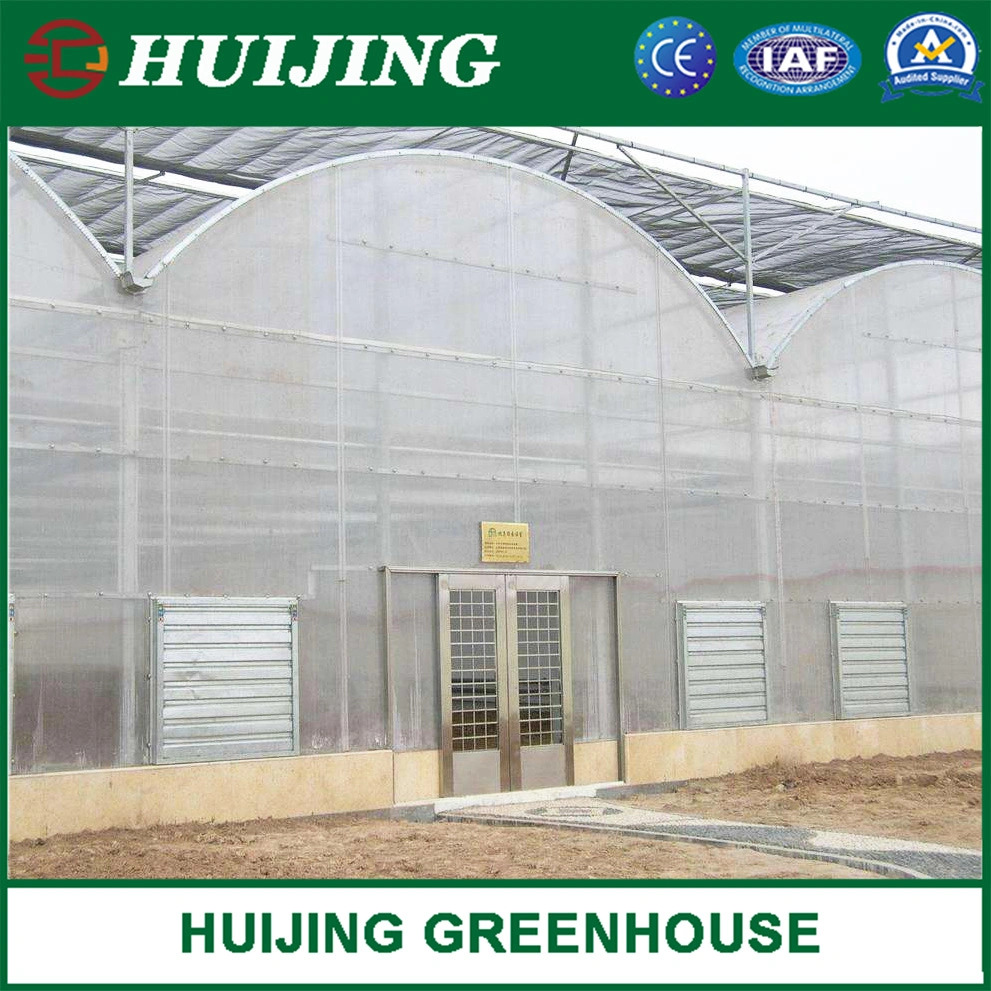 Agricultural Planting Poly Film Multi-Span Greenhouse for Sale