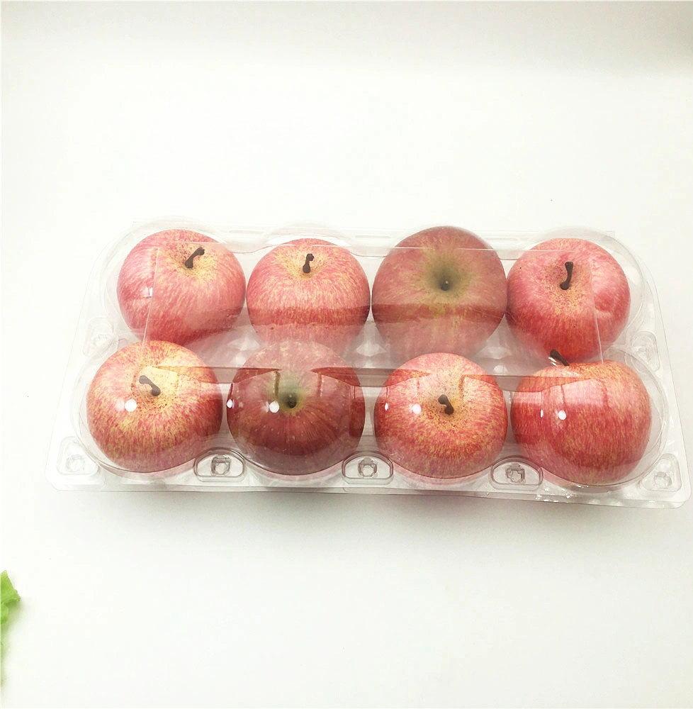 Plastic Pet Food Container Clear Fruit Packaging