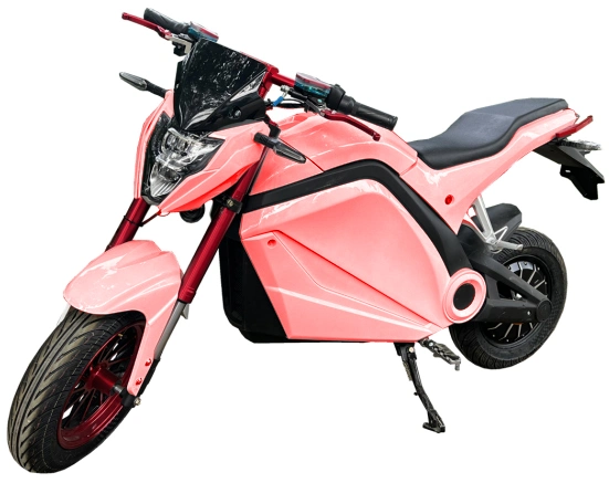 Factory Directly Sale Dirt Bike Electric Motorcycle 3000W Adult