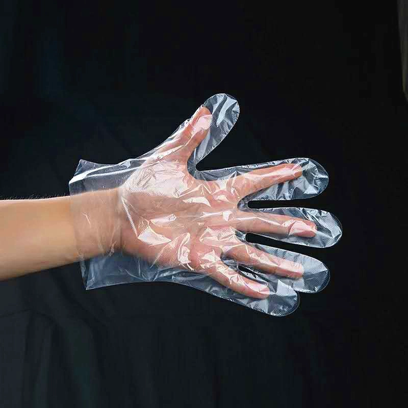 Compostable Biodegradable Food Grade Cleaning Plastic Disposable Vinyl Household Gloves for Diet