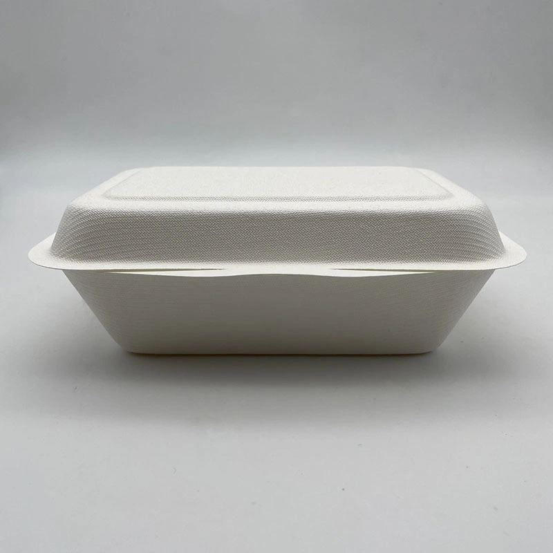 600ml Single Compartment Packing Box Sugarcane Pulp Disposable with Lid