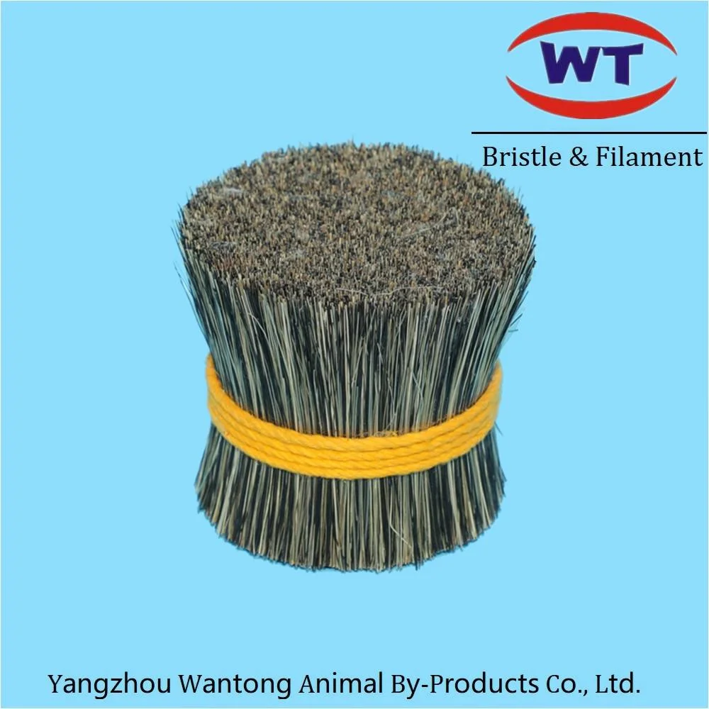 Chongqing Natual Black Boiled Bristle Pig Hair Paint Brush Filament Manufacturer