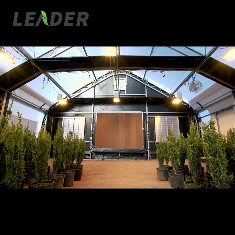 Hot Selling Blackout Light Deprivation Greenhouse Made in China