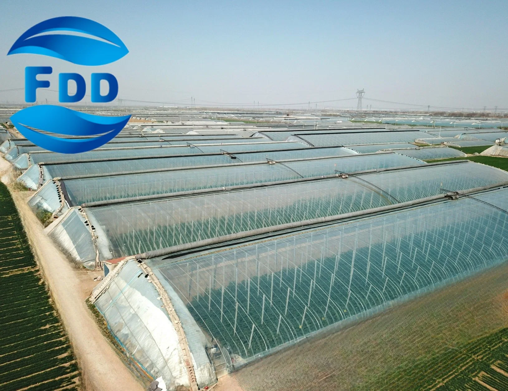 FDD High Strength Commercial Agricultural Single/Muti-Soan Greenhouse Tomato Plastic Film for Sale