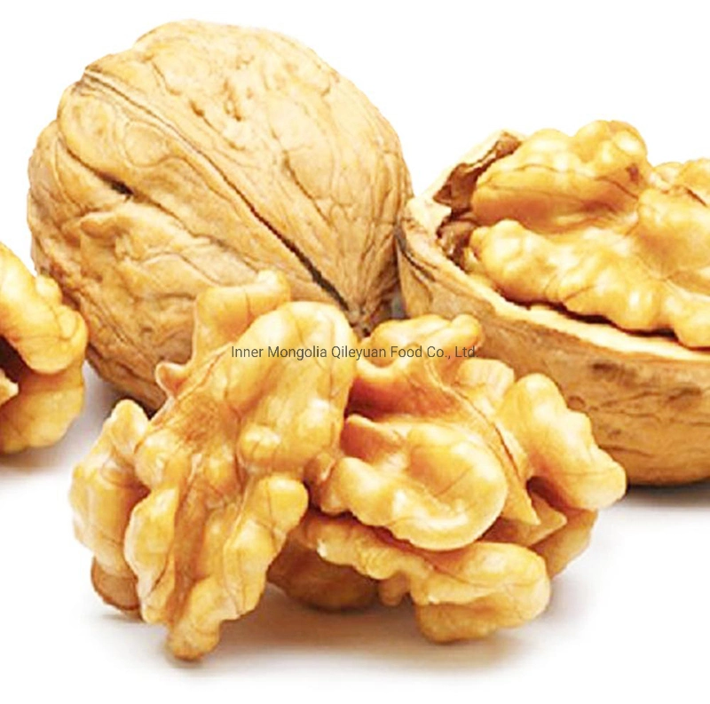 Cheap Wholesale/Supplier Price Top Quality Walnuts Chandler Inshel Walnuts