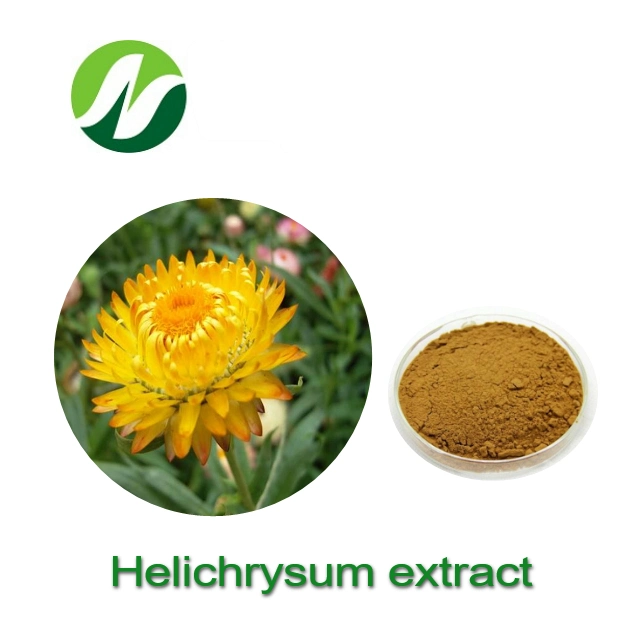 أفضل جودة عالية الجودة من نوع Natural النقي 4: 1~20: 1 مستخرج Helichrysum