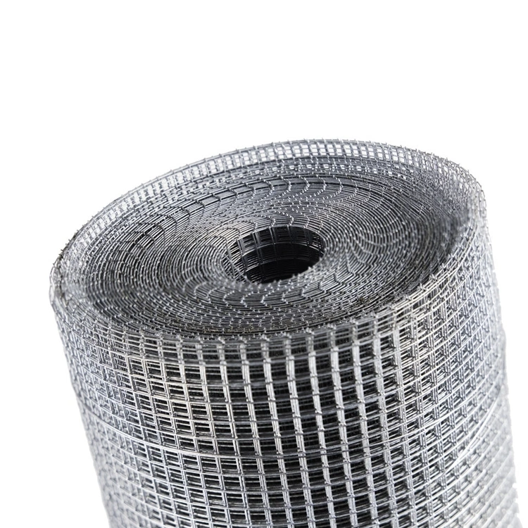 for Bird Cage Welded Wire Mesh Roll Hot Dipped Galvanized Welded Wire Mesh