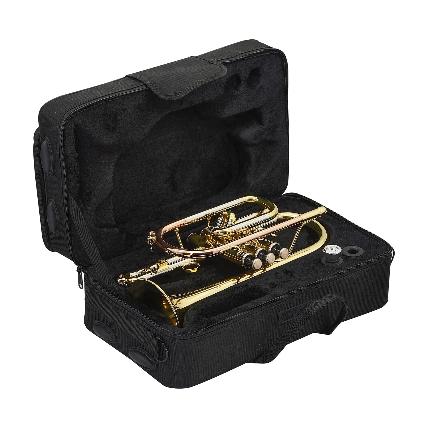 Good Cornet Gold Lacquer for Beginner