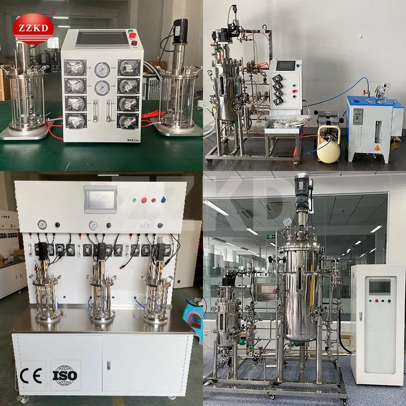 Small Laboratory Benchtop Bioreactor Fermenter 1L 2L 3L 5L 7L 10L 20L Anaerobic Glass Bioreactor Fermentor