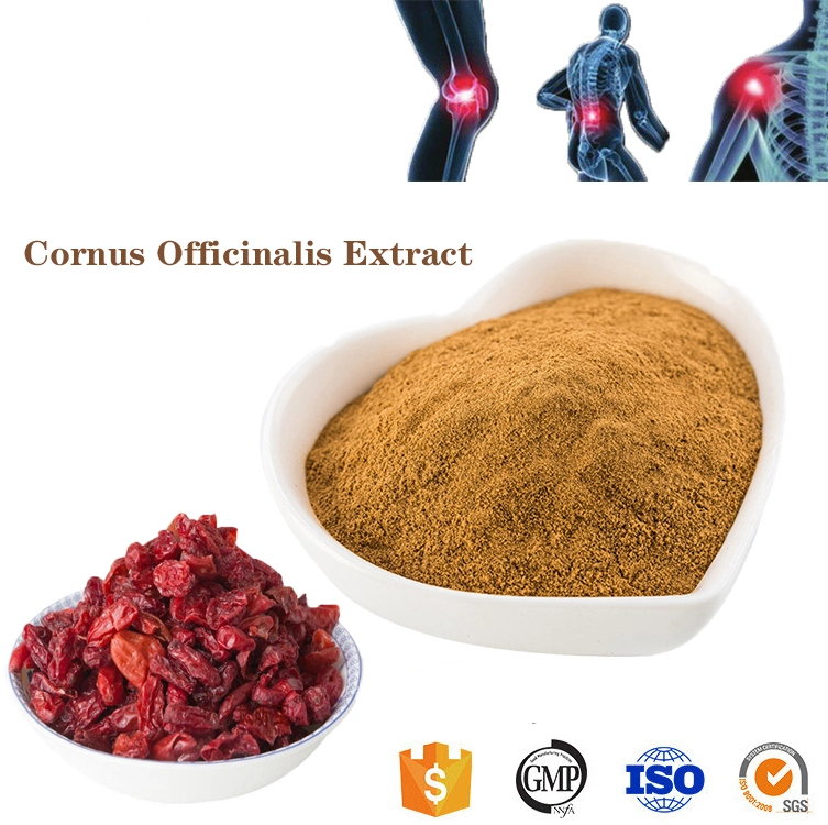 Excellent Quality 10: 1; 50: 1; 100: 1 Organic Cornus Officinalis Extract Powder