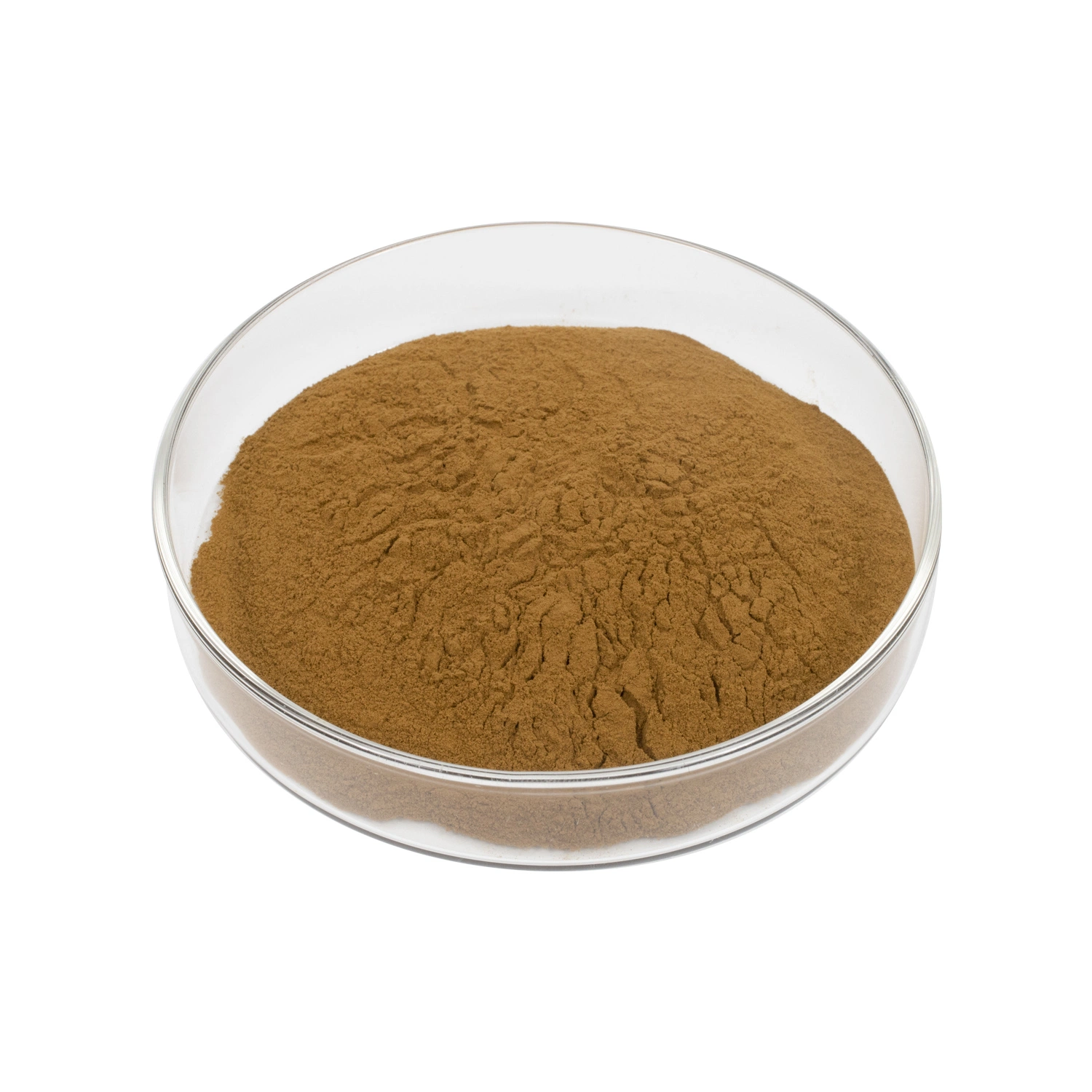 High Quality 20% Total Flavonoids Lemon Flavor Extract Powder for Beverage and Food Supplement