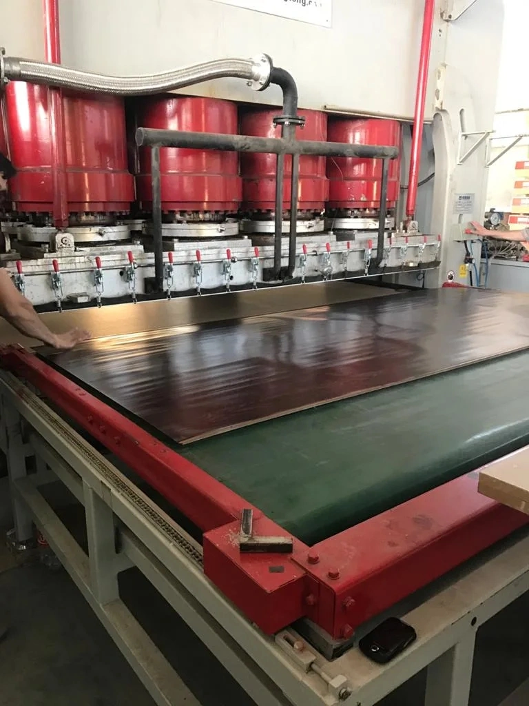 Cold Press Laminator/Hot Press Plywood Making Machine/Hydraulic Melamine Press Machine