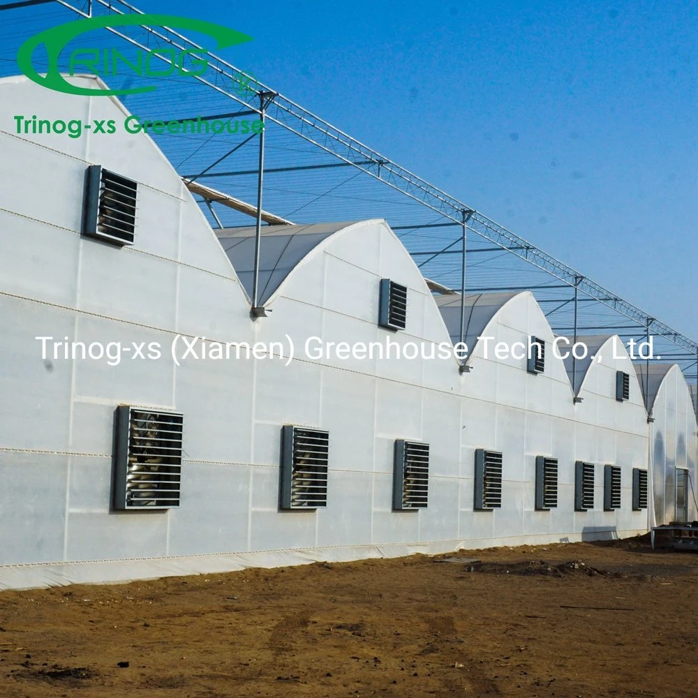 Trinog greenhouse plastic film galvanized zinc coat frame greenhouse for flower house