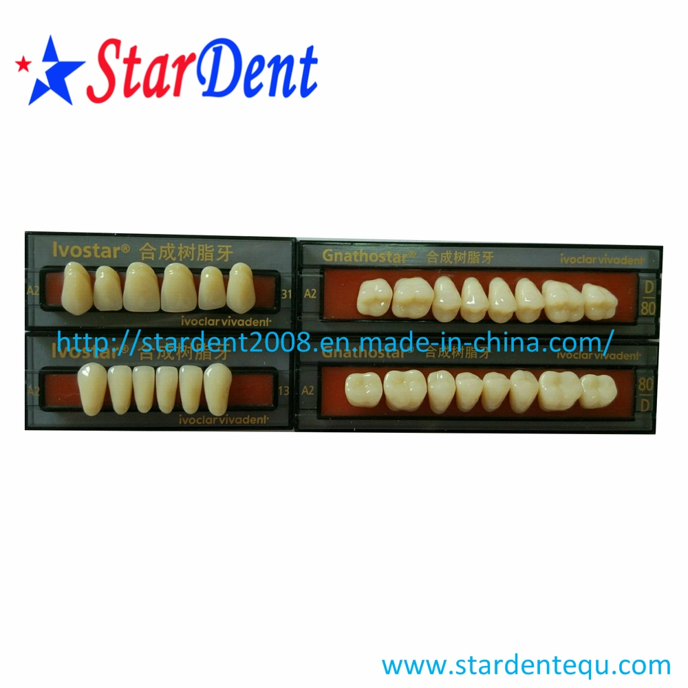 Three Layer Synthetic Resin Teeth of Ivoclar Vivadent (28PCS)