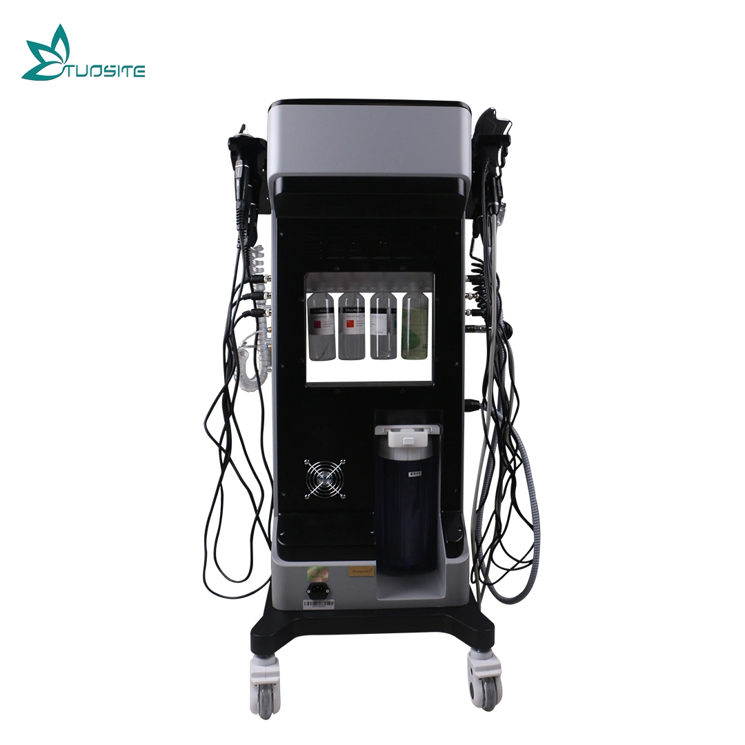 Beauty Salon Equipment 9 in 1 Smart Multifunction Facial Beauty Machine