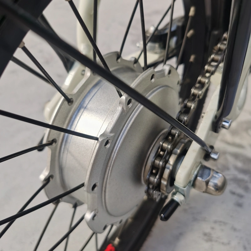 Nuevo diseño 20 pulgadas Cheap eBike 250W grasa de la bicicleta de la ciudad Neumático eléctrico bicicleta de montaña Bicicleta Eléctrica con CE