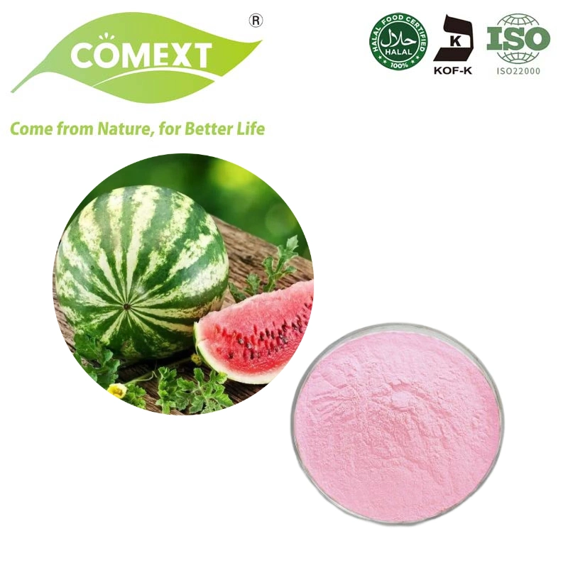 Comext Bulk Supply Watermelon Fruit Powder Watermelon Juice Powder