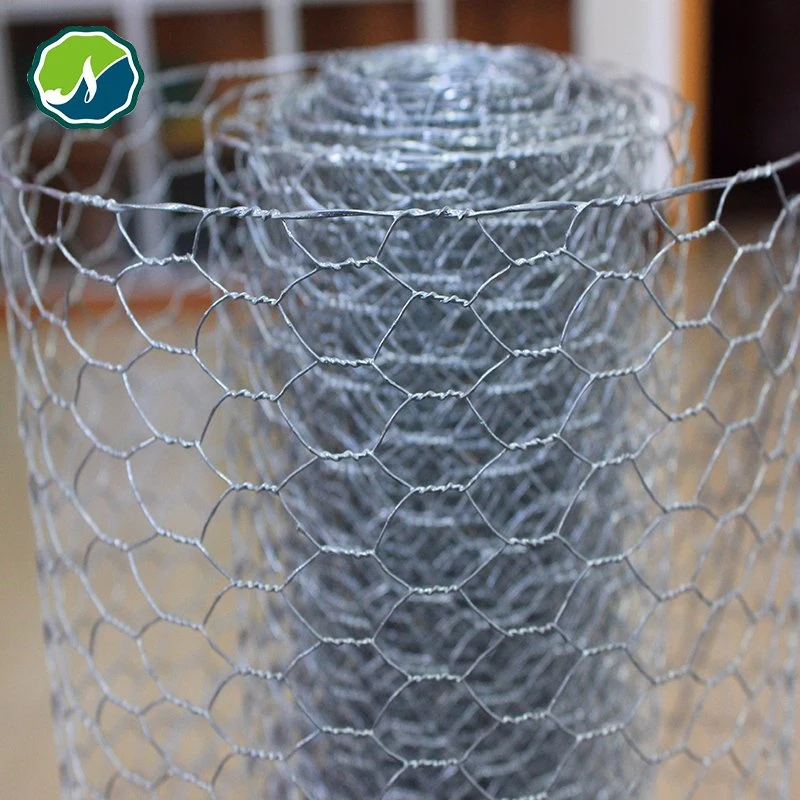 Small Chicken Fencing Wire Mesh Screen Roll Garden Mesh Roll Wire Netting