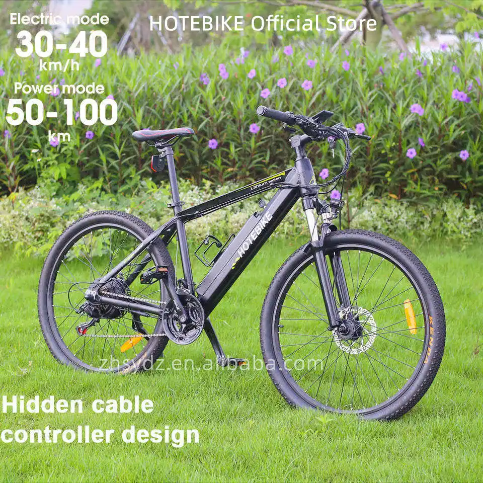 MTB Ebike 500W 750W 1000W Retro Bicycle Sports Road E-Bike Dirt Cycle Mountain Electric Bike
