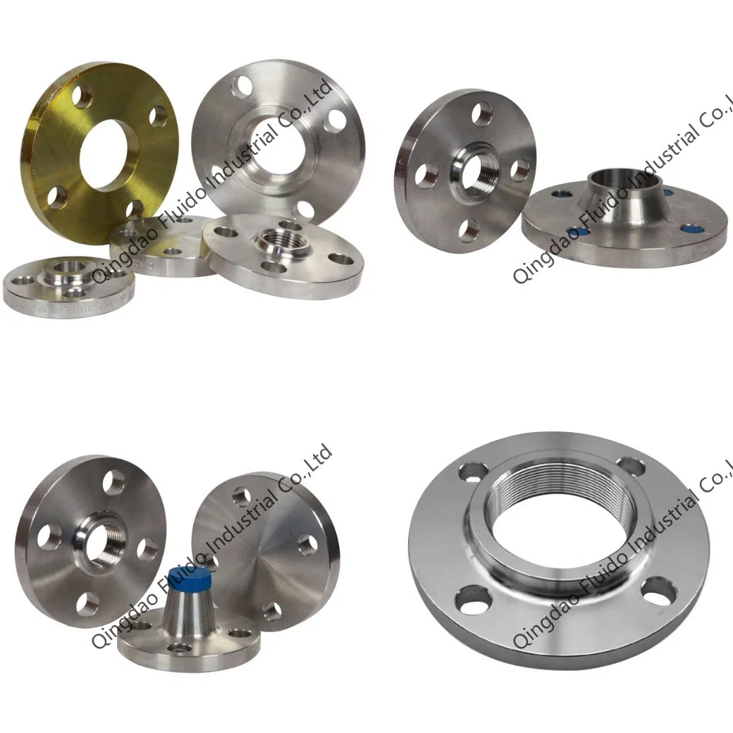 Forjada en acero inoxidable para FF DE RF/hilo/cuello/soldadura/ciega brida solapada según DIN EN1092-1 ANSI GOST