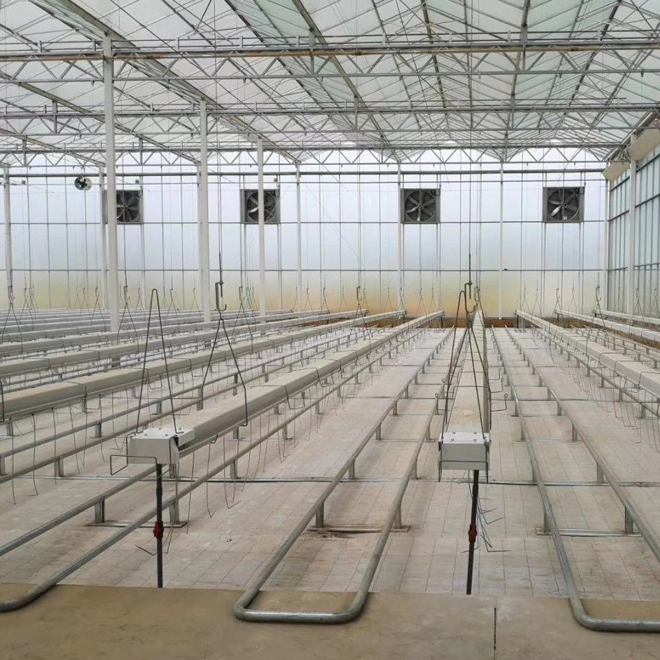 نظام قنوات Hydroponic للبيع الساخن في Greenhouse and Farm Nft القنوات