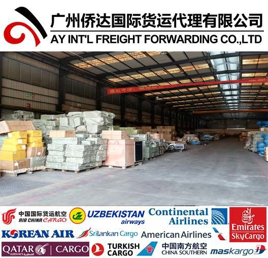 Sea Freight for Foshan Furniture Container to Rotterdam/Hamburg/Antwerp/Le Havre by Sea