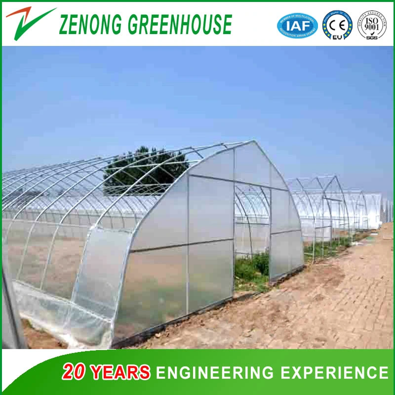 Economic Single Span 200 Micron Film High Poly Tunnel Greenhouse for Vegetable
