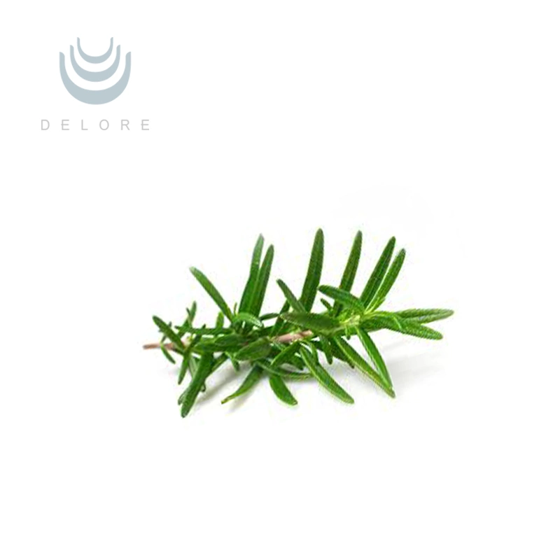 Cheaper Price Rosemary Extract Ursolic Acid, Carnosic Acid, Rosmarinic Acid