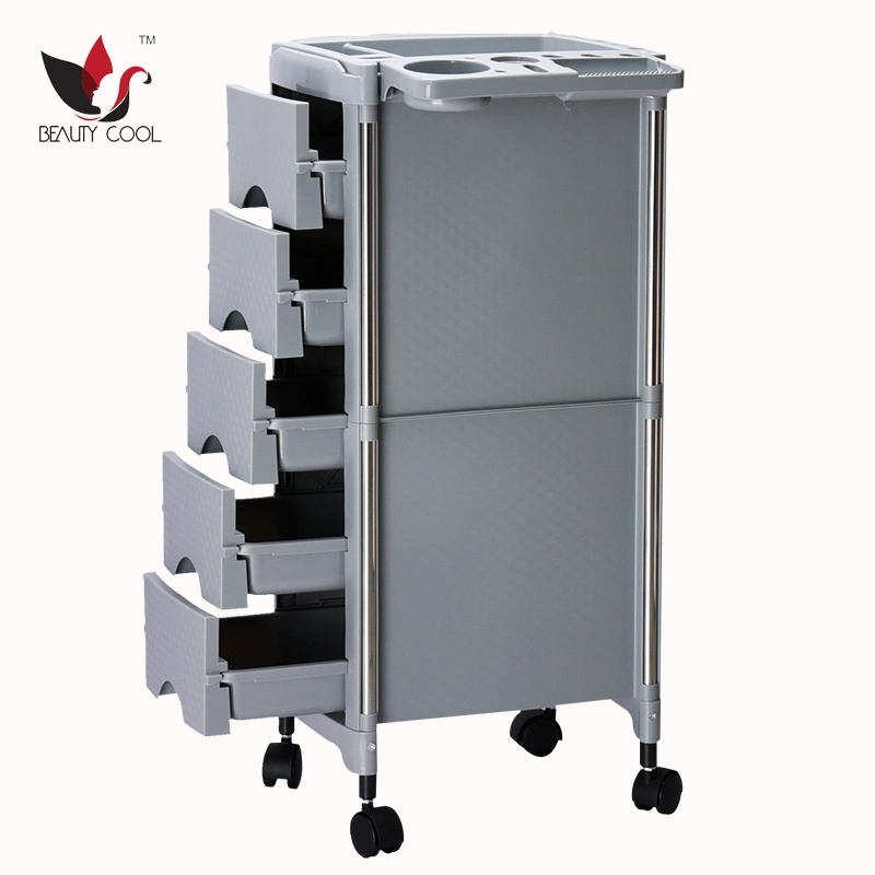 Best Price Salon Furniture Hairdressing Trolley Salon Equipment