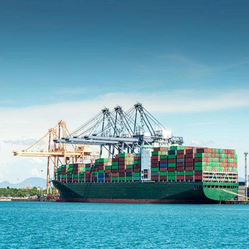 النقل البحري من الباب إلى الباب أسعار الشحن DDU من الصين إلى سنغافورة