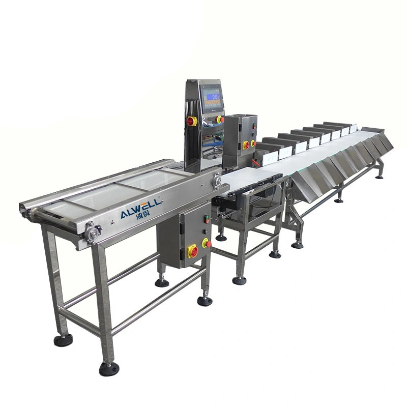 Fresh Food Automatical Weight Grading System Conveyor Fruit Fish Weight Sorting Machine