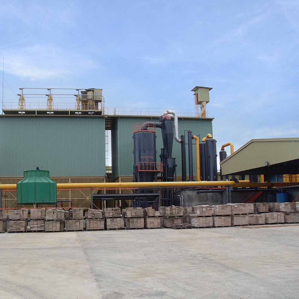 Coconut Shell Power Generation solution EPC Contracting