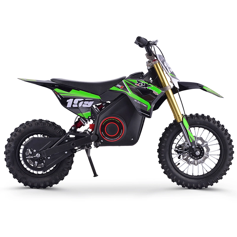 Electric Dirt Bikes Kids Toys 36V 1000W New Arrial