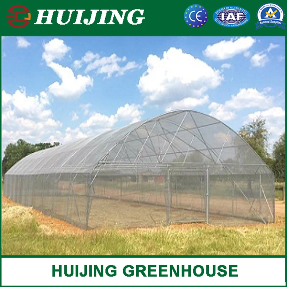 Hot Sale Polytunnel Single-Span Plastic/Film/PC Greenhouses for Agriculture