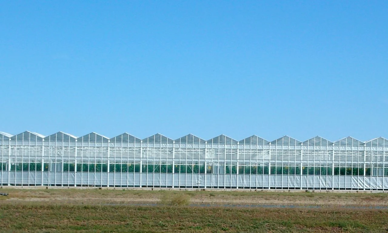 Factory Cheap Agricultural Multi-Span Greenhouse Glass for Vegetables