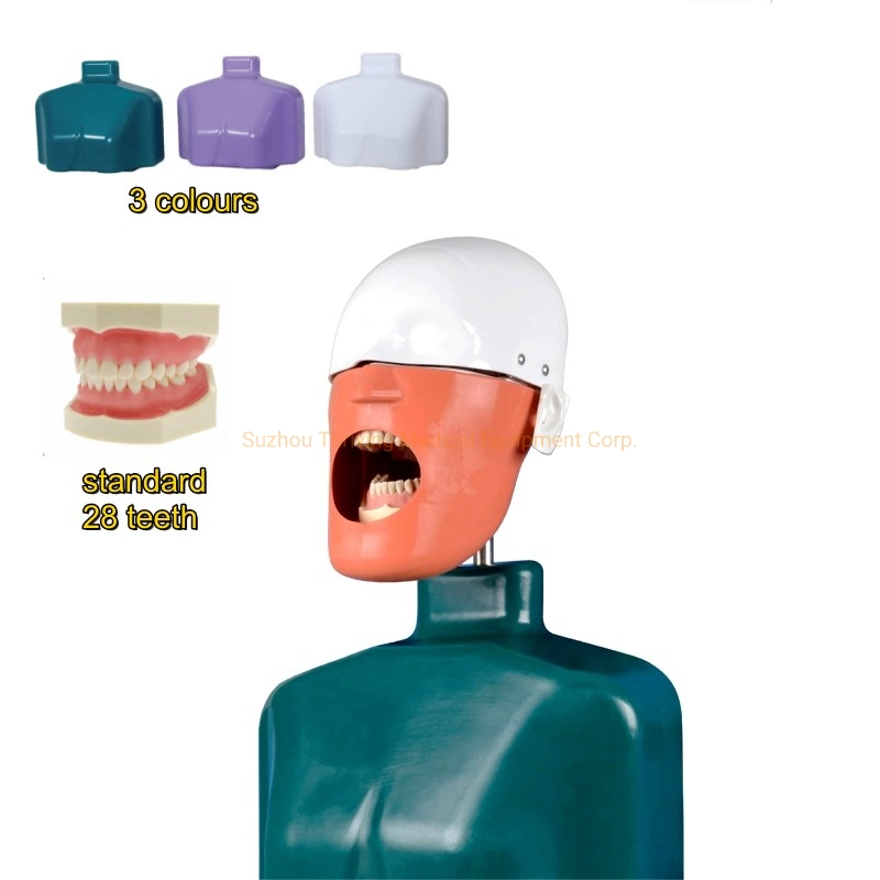 precio de fábrica Unidad de entrenamiento de simulación dental maniquí de maniquíes dentales Cabeza (THR-A2)