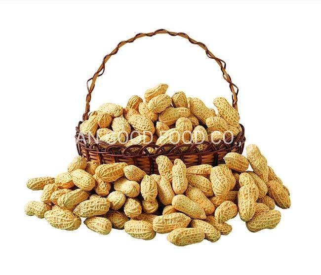 Groundnuts in Shell/Without Shell/Peanut/Raw