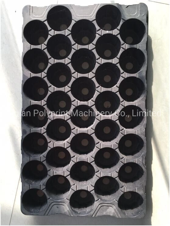 PVC Plastic Flexible Seed Starting Grow Germination Plug Tray Making Machine