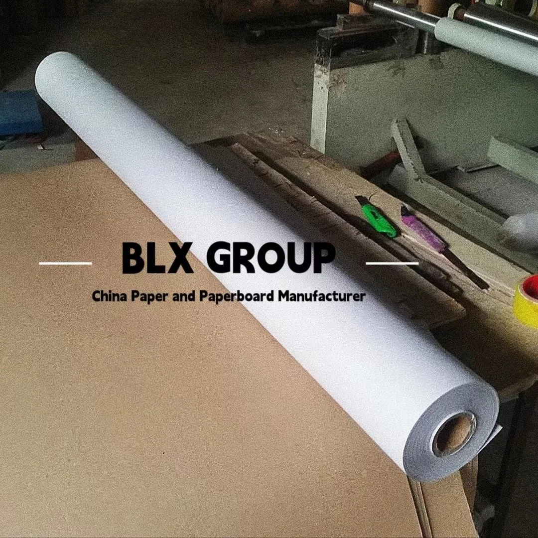 Factory Low Price Good Quality White Color CAD Plotter Paper Supplier