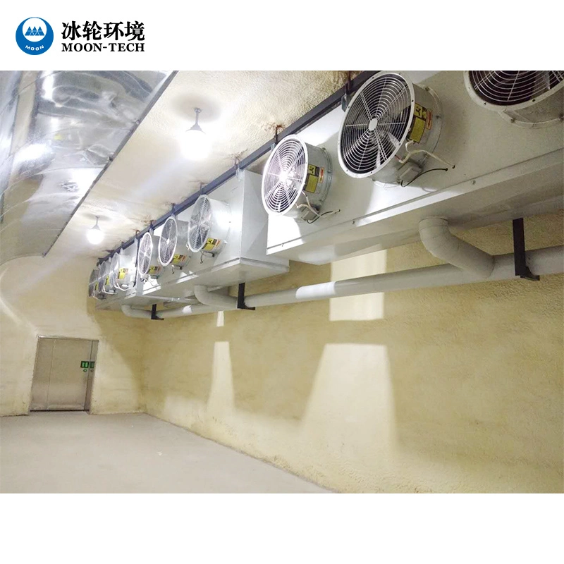 Factory Walk in Cold Room Cooler Refrigerated Container for Seafood Cold Storage