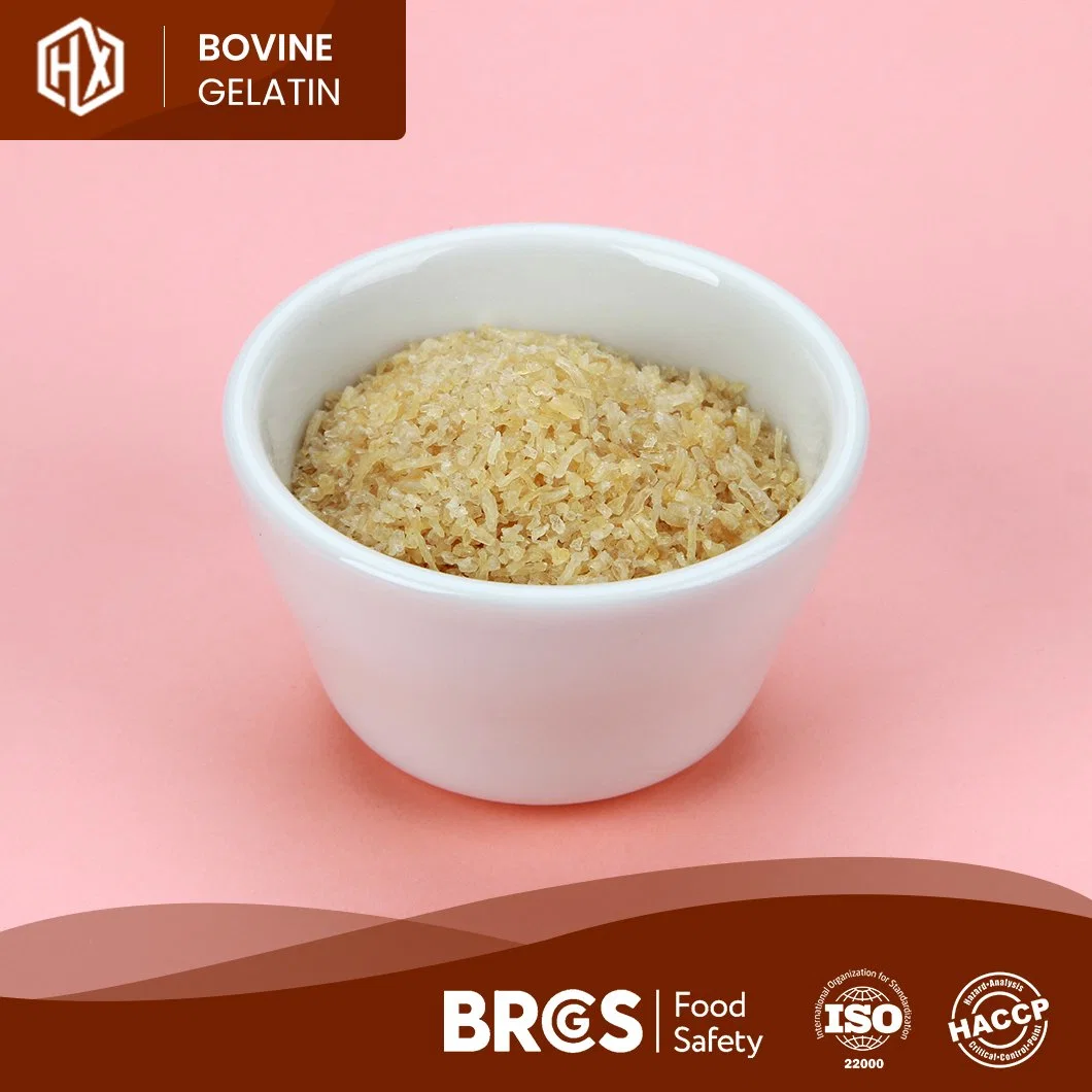 Haoxiang Wholesale/Supplier Custom Food Grade Bovine Skin Gelatin Powder High-Quality Pharma Bovine Skin Gelatin China Supplier Free Sample Bovine Skin Gelatin