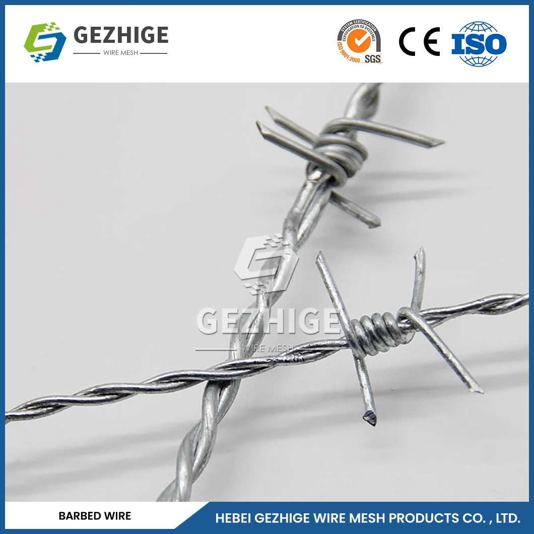 Gezhige Double Barbed Wire Manufacturing 7.5 Barbed Distance Ornamental Barbed Проволока Китай 13X14 проволока Разводить проволоку Barbed