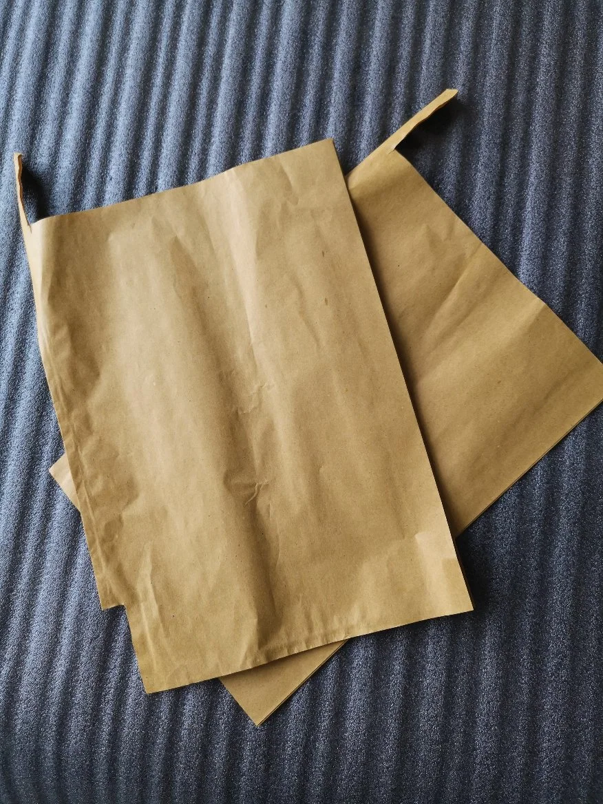 Brown Kraft Papers Fruit Growing Paper Bags for UV Prevention