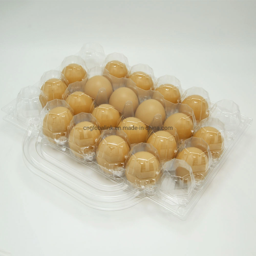 Plastic Blister Clear 24 Holes Egg Tray with Handle