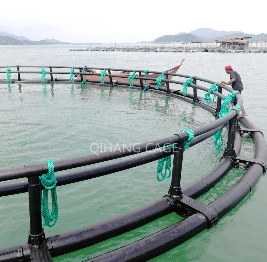 HDPE Fish Farm Cage for Intensive Farming in The Sea or Lake