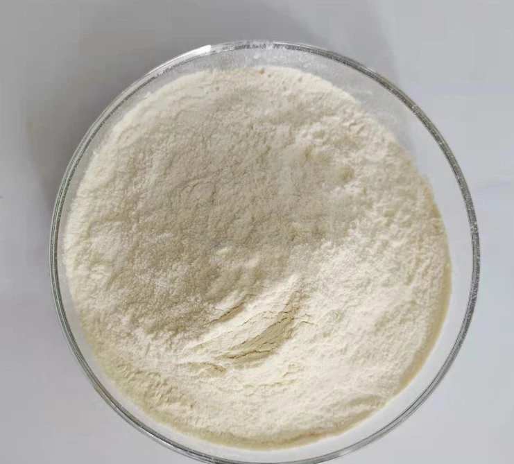 Fast Shipment Manufacturer Supply Xanthan Gum Powder CAS 11138-66-2 Xanthan Gum