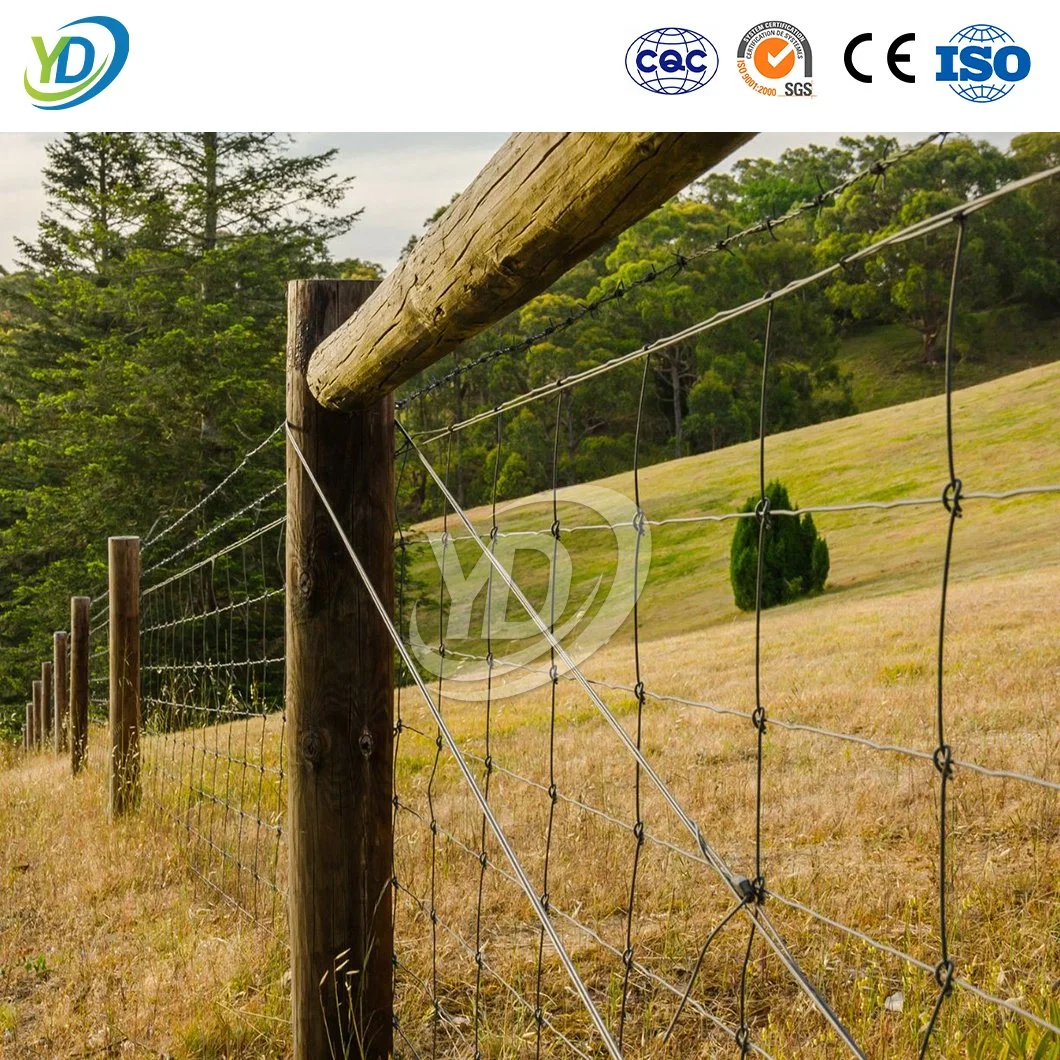 Yeeda Agricultural Fence Wire China Manufacturing 2X2 Galvanized Wire Mesh 32 Inch X 330 Feet Electric Fence Farm Hinged Knot Fence